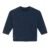 French Navy
