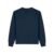 French Navy