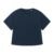 French Navy