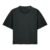 G. Dyed Black Rock