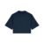 French Navy